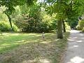 Arboretum 07 - Wojtek ucieka